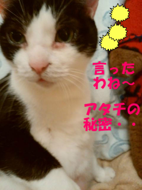 BlogPaint