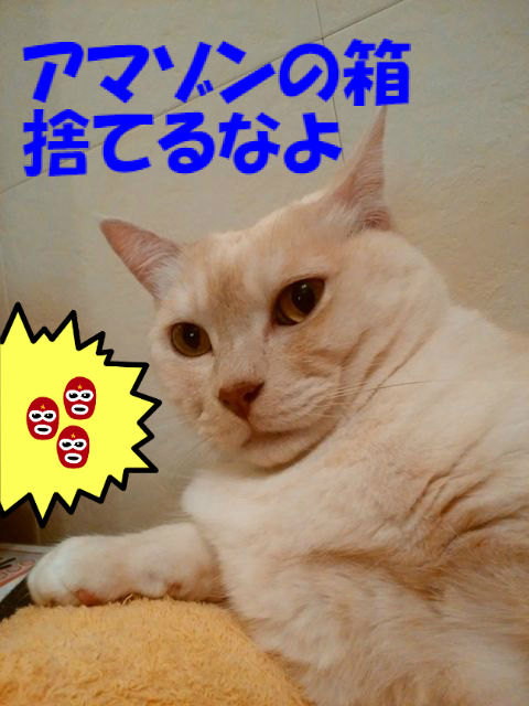 BlogPaint
