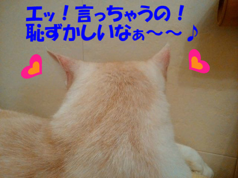 BlogPaint