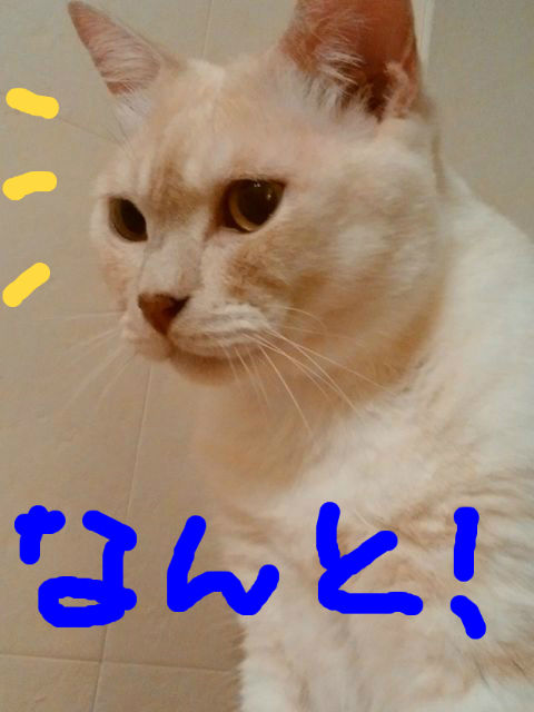 BlogPaint