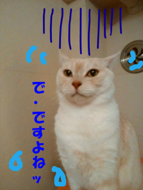 BlogPaint