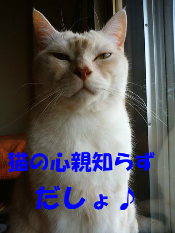 BlogPaint