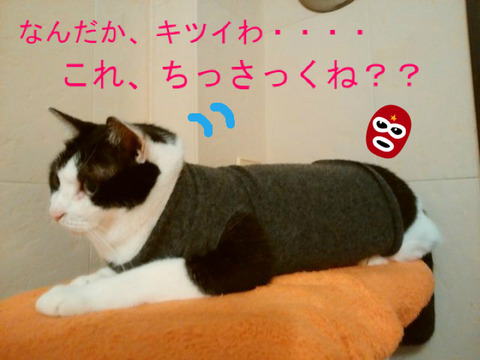 BlogPaint