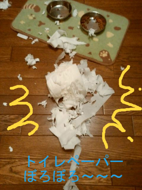 BlogPaint