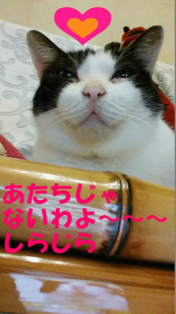 BlogPaint