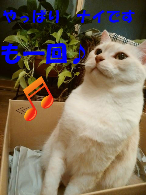 BlogPaint