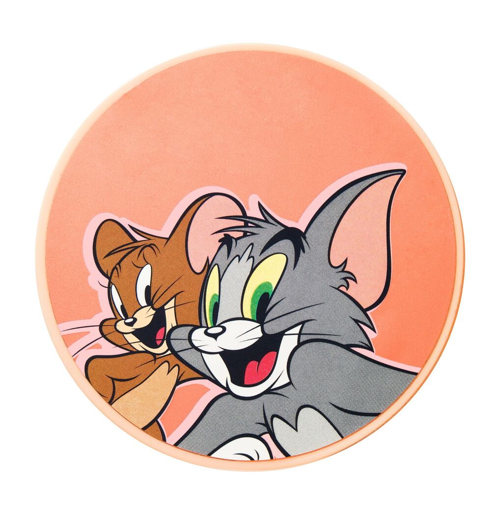 世界一 仲良しの猫とネズミ アニメ速報358