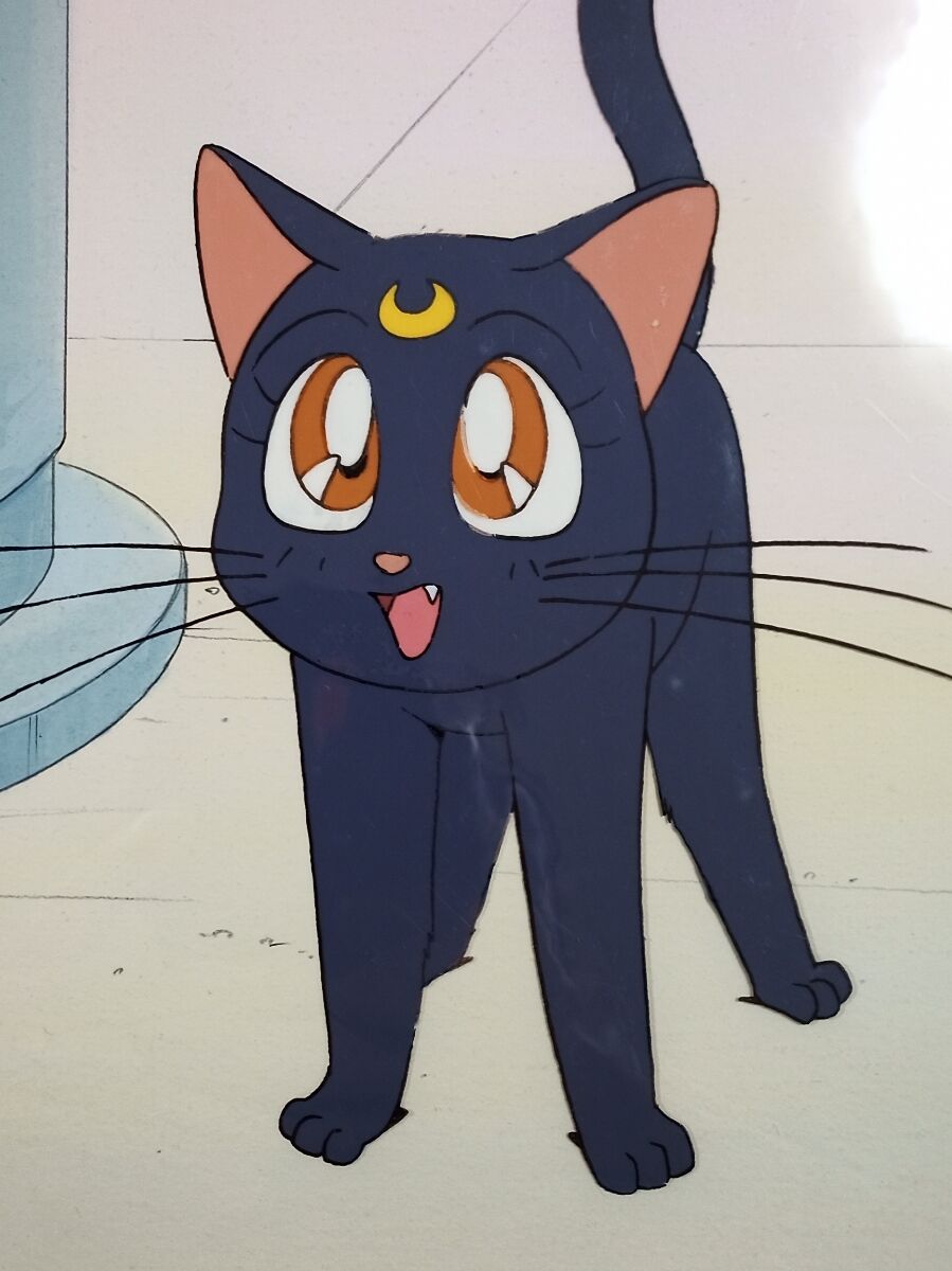 黒猫 ルナの様に可愛い眼になれるアイテム発売 アニメ速報358