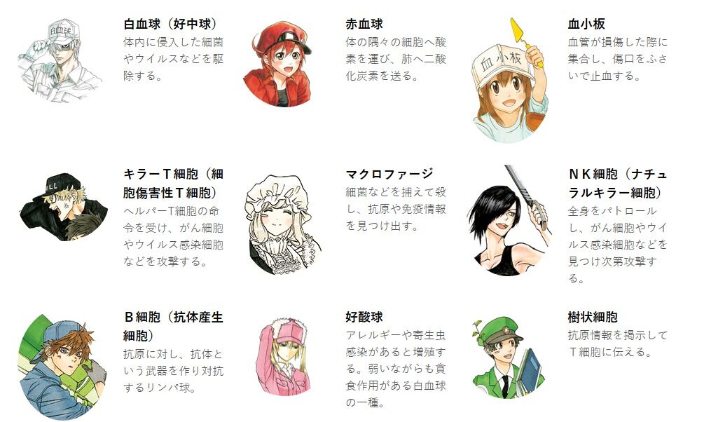 はたらく細胞 ９月５日 アニメ速報358