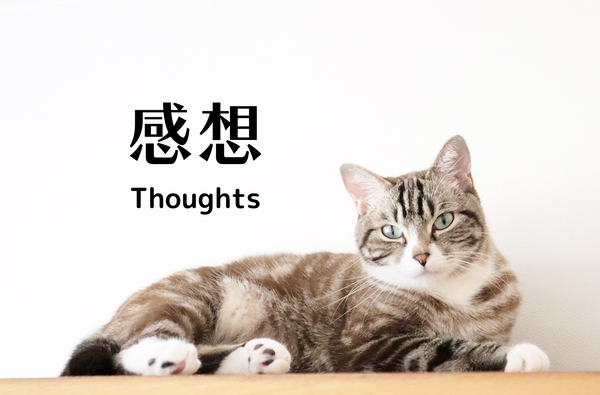 感想-Thoughts