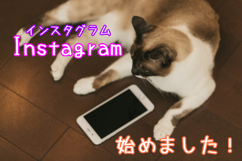 Instagram