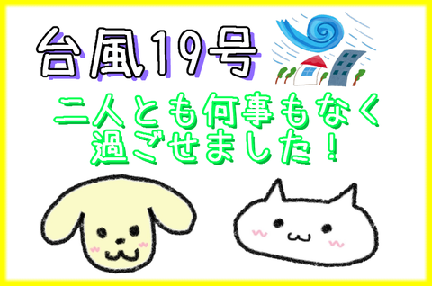記事画像@台風