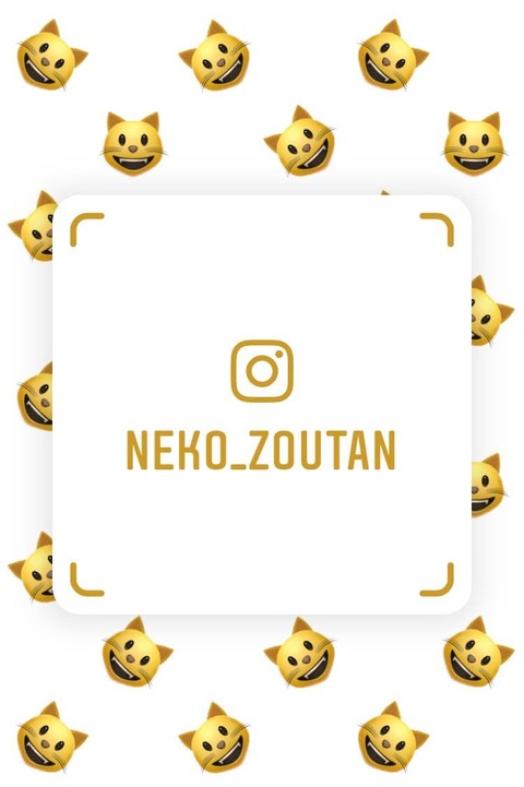 insta4