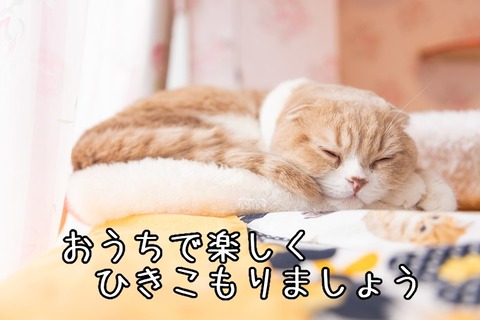お家で楽しくひきこもりましょう