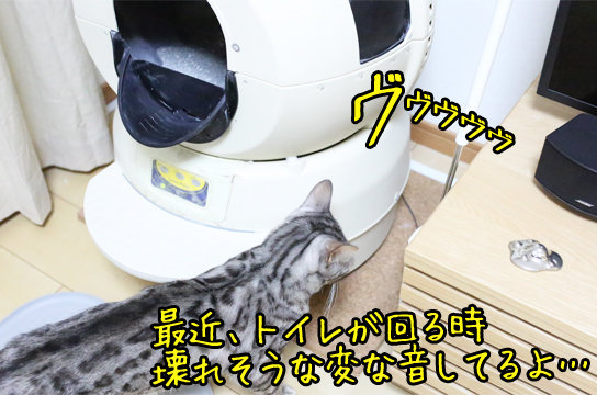 リッターロボ 自動ネコトイレ を自分で修理してみた ベンガル猫ブログ ねこちん 猫とオッサンの賃貸生活