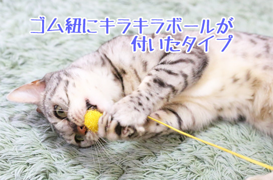 3本の猫オモチャ ベンガル猫ブログ ねこちん 猫とオッサンの賃貸生活 3本の猫オモチャ ベンガル猫ブログ ねこちん 猫とオッサンの賃貸生活