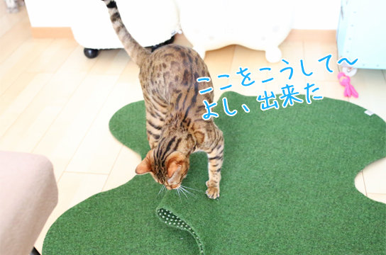 猫がしっぽを大きく振るのは不満な気持ち ベンガル猫ブログ ねこちん 猫とオッサンの賃貸生活