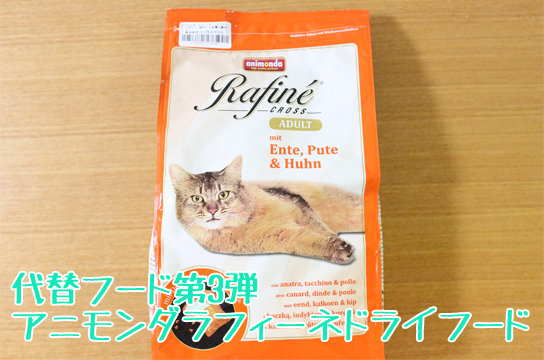 ロイカナの代替フード到着 アニモンダ編 ベンガル猫ブログ ねこちん 猫とオッサンの賃貸生活