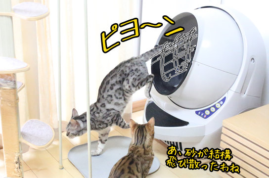 最新型の自動猫トイレ「リッターロボット オープンエアー」のメリット