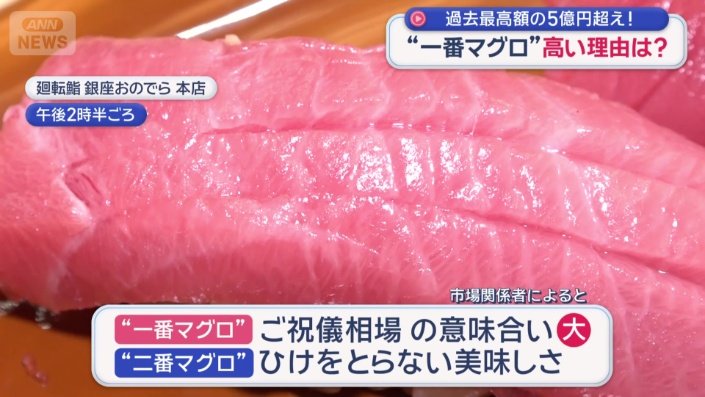 【5億円超!】「一番マグロ」って何?なにが1番? “二番マグロ”の驚き価格 1本275万円 : ねことダンボール