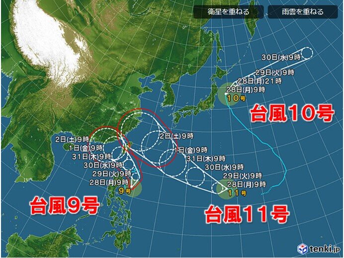 【🌀】台風11号、無事逸れるwww : ねことダンボール