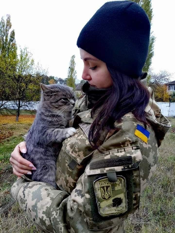 【画像】ウクライナ軍、侵略者に破壊されたアパートから猫ちゃんを救出 😾コメント