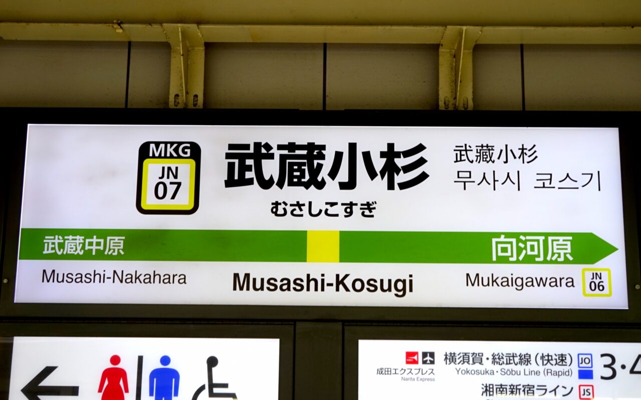 【横須賀線】湘南新宿ライン、武蔵小杉での車両点検により遅れ 列車が詰まってカオスに… ねことダンボール