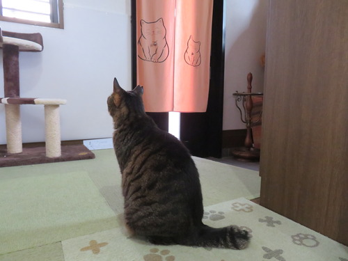 チョットいつもと違う