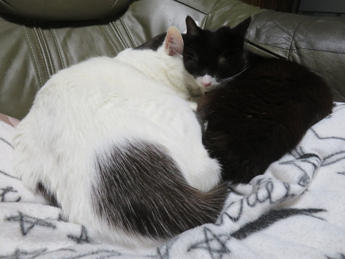 �Ԥä��󤳿�