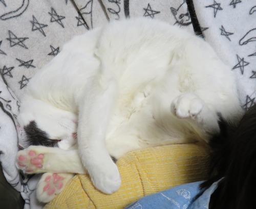お母ちゃんの後ろで