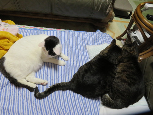 少し前に