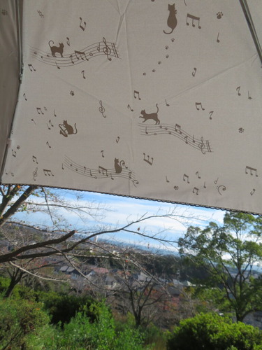 �����򤵤���