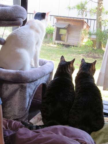 なな&たく&かい