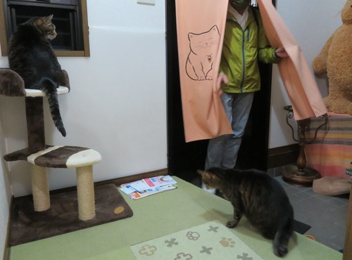 ただいま。お帰りなさい