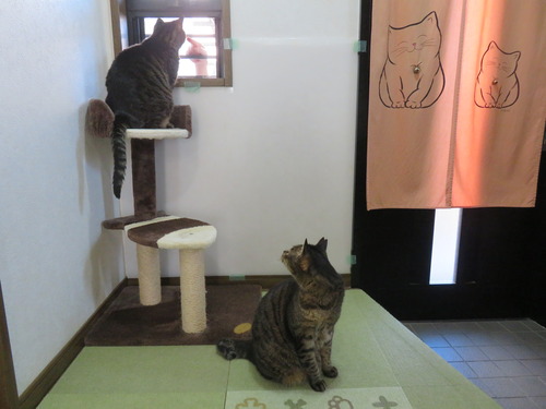 小窓から