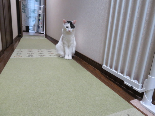 今朝もここから