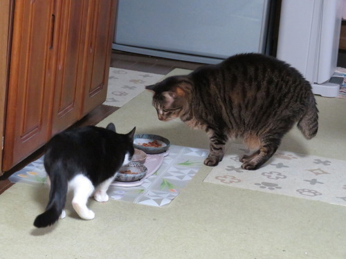 2019ǯ121ãΤӤ򥦥ޥޡͭ