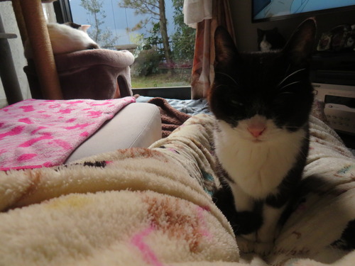 �ɤ����ɤϥ����