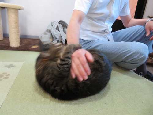 かぷっ