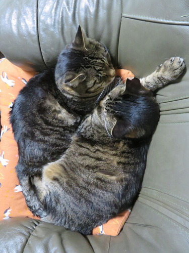 なな&たく