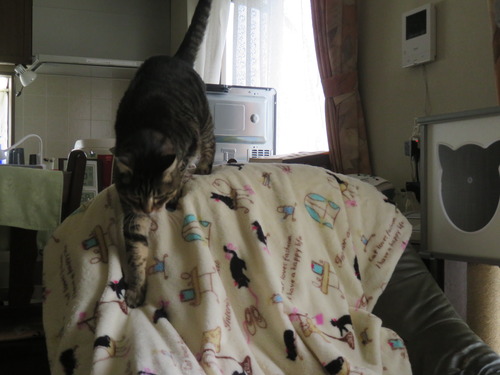下りてきて