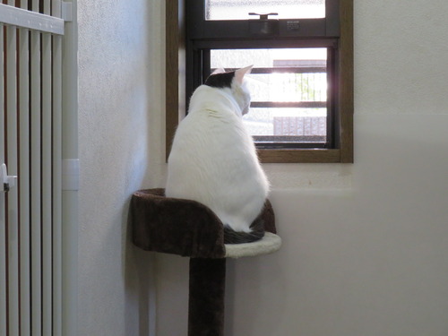 行ってらっしゃーい