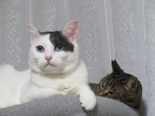 ”たく”どうする?