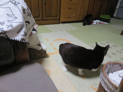 ”たく&うみ”と