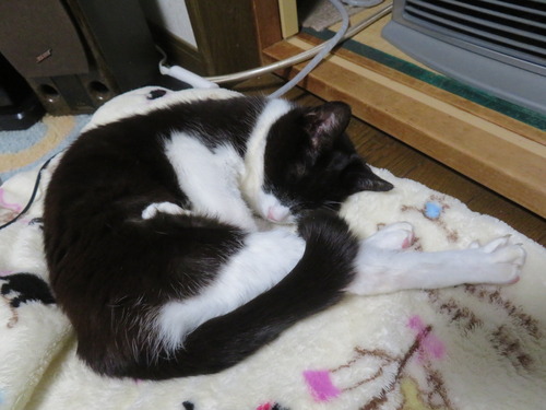 ���ȡ������ˡɤ��ߡ�