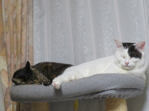 たく&かい