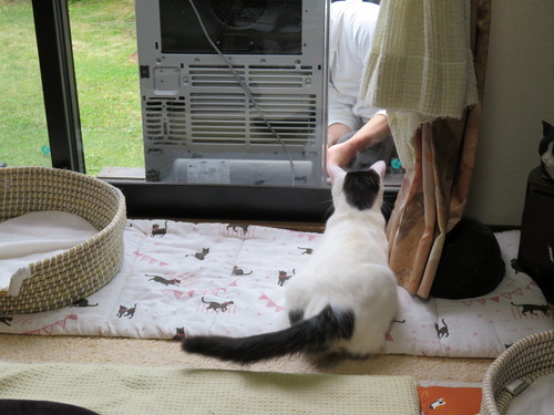 何してるの?