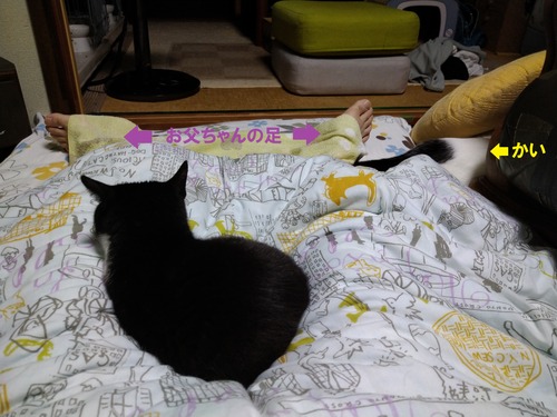 2024ǯ9212336­δ֤ˡɤߡɤ