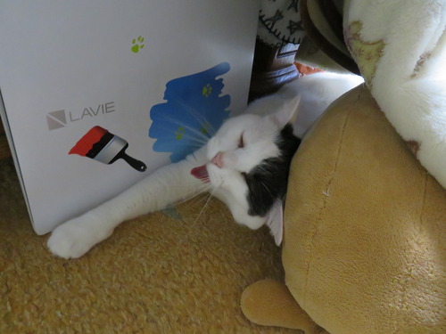 5ふぁ〜