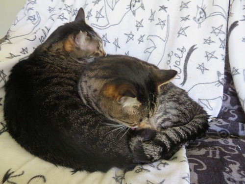 なな&たく